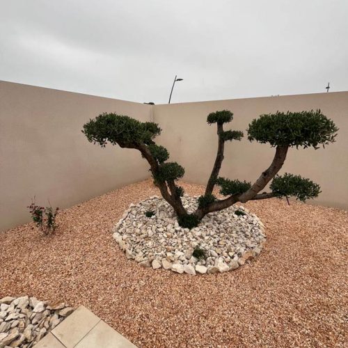 Paysagiste à Sauvian : création et aménagement de votre jardin