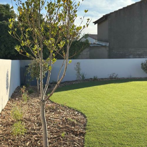 Paysagiste à Sauvian : création et aménagement de votre jardin